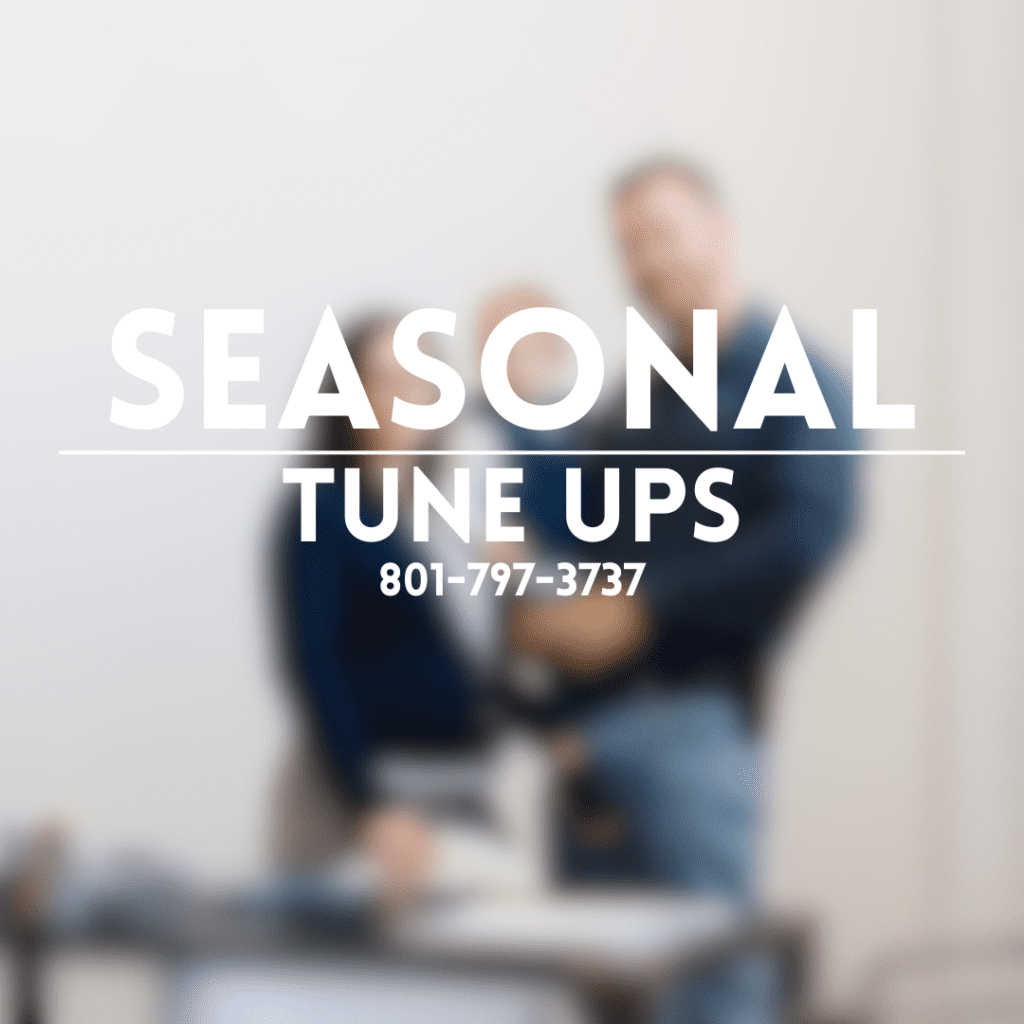 Seasonal Tune ups